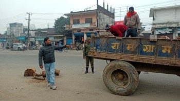 रामग्राममा आगो ताप्न चोक चोकमा निशुल्क दाउरा 